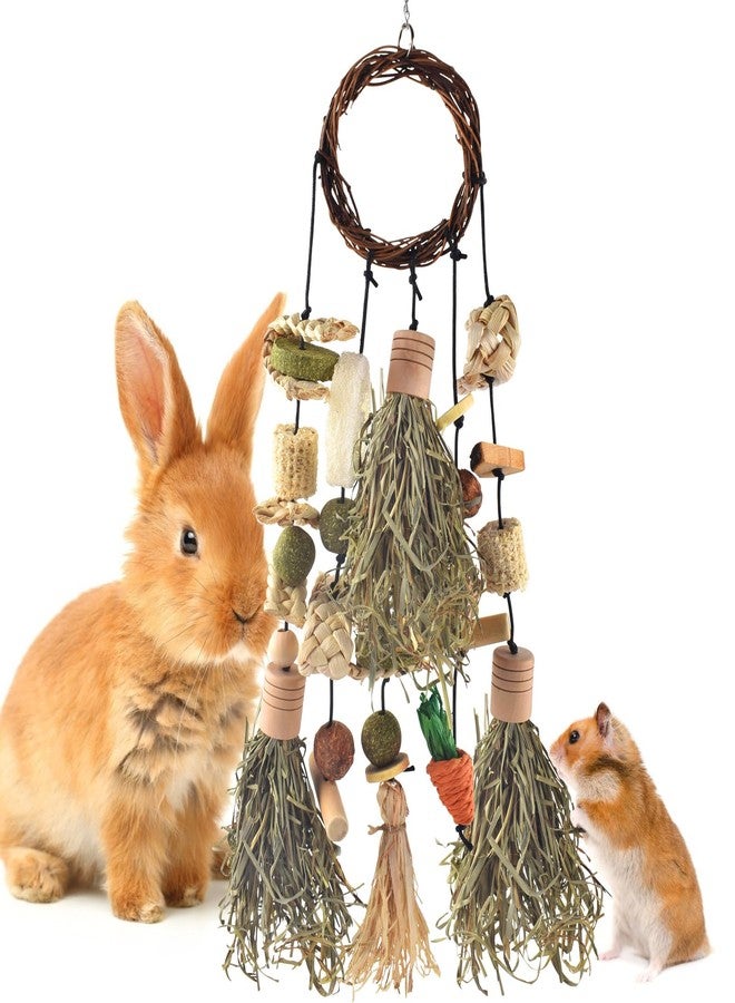 Bissap Rabbit Chew Toy, Bunny Cage Hanging Chewing Toys and Treats Wooden with Snacks for Guinea Pigs Chinchillas Hamsters Rats and Other Small Pets Teeth Grinding (Timothy Hay & Vine) - Image 1